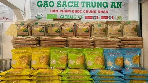 Gạo Trung An nối dài chuỗi thua lỗ