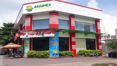 Angimex (AGM) nói gì về việc cổ phiếu tăng trần 10 phiên liên tiếp?