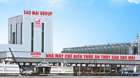 Sao Mai báo lãi teo tóp, tiền mặt “bốc hơi” một nửa