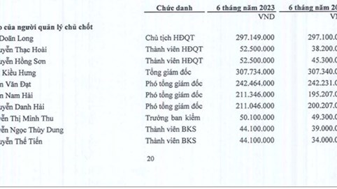 Công ty Cổ phần Cảng Nghệ Tĩnh (NAP): Lãi ròng giảm 33,8% quý II/2023