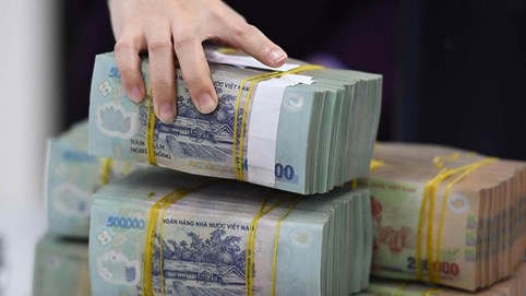 Nợ thuế, Công ty Alpha Apus bị dừng làm thủ tục hải quan