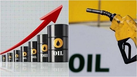 Giá dầu thế giới đảo chiều tăng