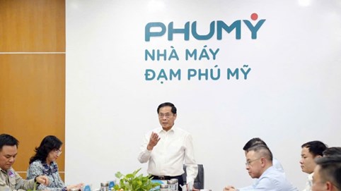 Phó Thủ tướng Bùi Thanh Sơn thăm nhà máy Đạm Phú Mỹ