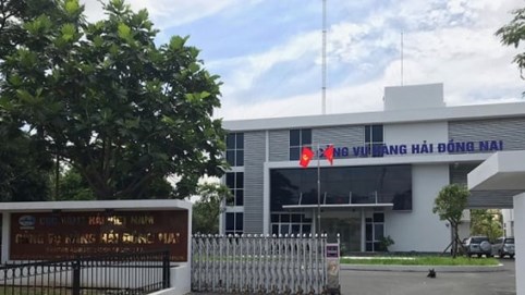 Cảng vụ hàng hải Đồng Nai, Sonadezi, Phân bón miền Nam và nhiều doanh nghiệp nợ thuế
