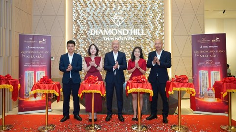BV Invest, chủ đầu tư Diamond Hill Thái Nguyên bị ngừng sử dụng hoá đơn