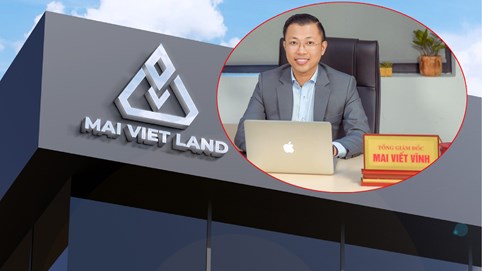 Mai Việt Land 3 năm vốn tăng 70 lần và cơ nghiệp của ông Mai Viết Vĩnh