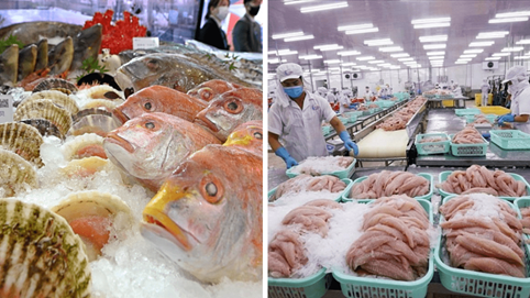 Xuất khẩu thủy hải sản Việt Nam biến động ra sao sau lệnh cấm của Trung Quốc với Nhật Bản?