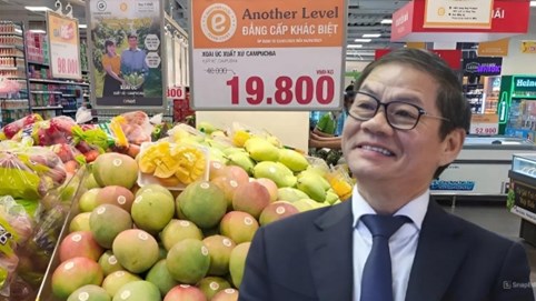 THACO đưa nông sản “của nhà trồng được” lên kệ chuỗi đại siêu thị Emart, tham vọng dẫn đầu thị trường bán lẻ
