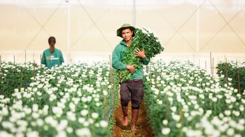 Nợ vay của PAN Farm phình to trong nửa đầu năm 2025
