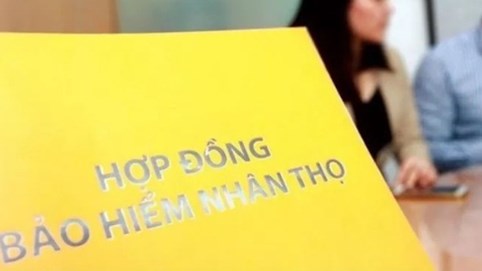 Lợi nhuận bảo hiểm nhân thọ lao dốc trong nửa đầu năm 2025