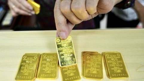 Giá vàng trong nước rơi tự do, nhà đầu tư có nguy cơ thua lỗ
