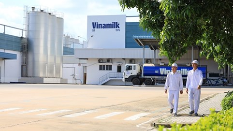 Vinamilk và bài học biến chi phí xanh thành sức mạnh thương hiệu