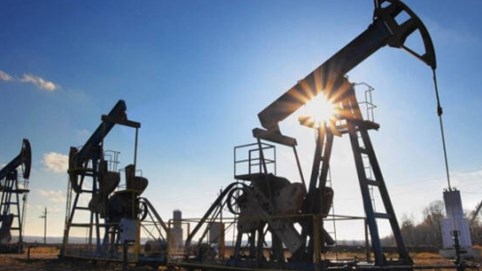Giá dầu hôm nay lao dốc, giảm hơn 3%