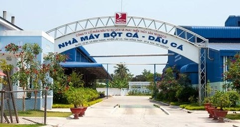 Cổ phiếu DAT tăng gần 40% trong một tuần, HoSE yêu cầu giải trình