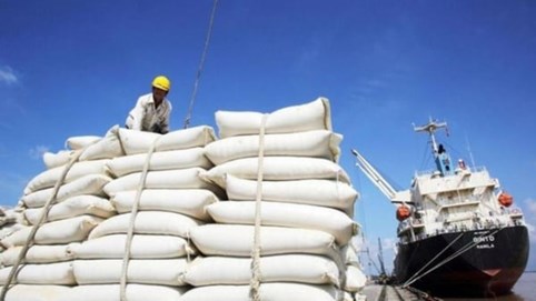 Giá gạo Việt Nam vẫn cao nhất thế giới, nhiều thị trường tăng mua