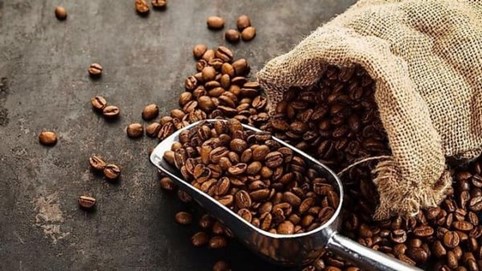 Đạt hơn 3.100 USD/tấn, giá cà phê xuất khẩu tiếp tục lập kỷ lục