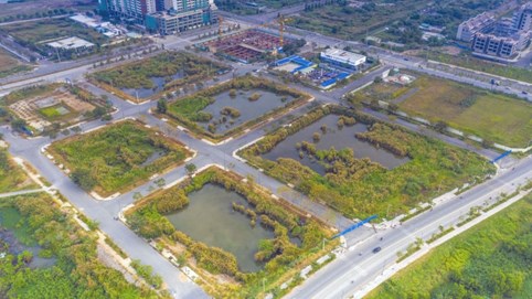 Tăng cọc đấu giá đất lên 100% mức khởi điểm, 5 năm không được bán?