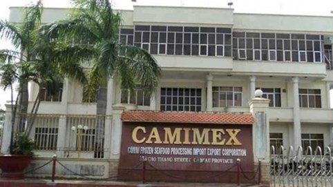 Camimex Group bị phạt 310 triệu đồng do vi phạm hàng loạt lỗi