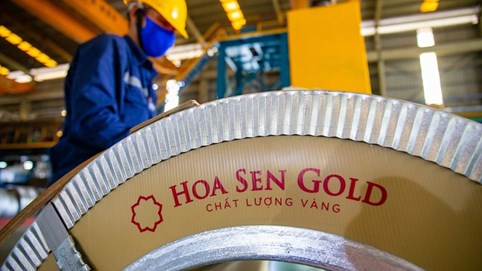 Hoa Sen giải thể công ty cảng quốc tế sau 6 năm 'nằm trên giấy'