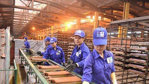 Viglacera Đông Triều đã âm vốn chủ sở hữu