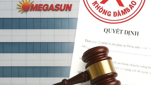‘Ngã ngựa’ trên sàn đấu thầu: Megasun bị liệt vào danh sách nhà thầu không uy tín
