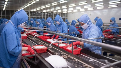 Tốn gần 200 tỷ đồng thuế đối ứng, lợi nhuận của Sao Ta bị bào mòn