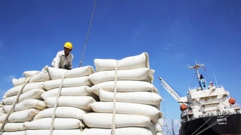 Giá gạo xuất khẩu Việt Nam cao nhất trong vòng 1 năm qua