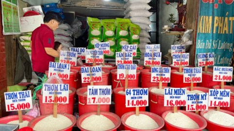 CPI tăng do học phí và giá gạo leo thang