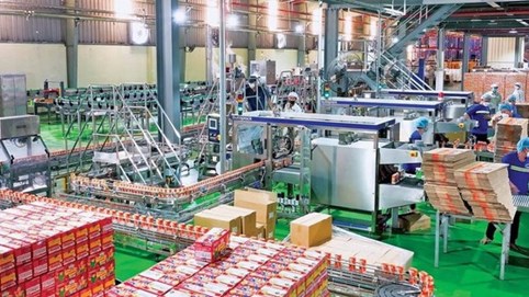 Chi phí leo thang, lợi nhuận Sữa Lof “trượt dốc” trong quý III/2025