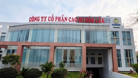 Công ty CP Đầu tư cao su Đắk Lắk bị phạt thuế hoạt động thế nào?