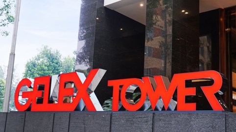 GELEX đặt mục tiêu doanh thu kỷ lục gần 38.000 tỷ, cổ tức 10%