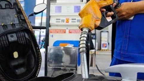 Giá xăng dầu đồng loạt giảm tại kỳ điều hành ngày 13/11