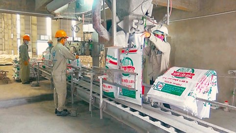 Dragon Capital giảm tỷ lệ sở hữu DGC xuống dưới 5%