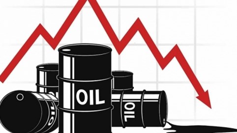 Giá dầu đồng loạt giảm mạnh