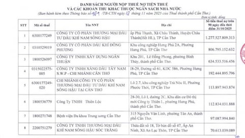 Dầu khí Đông Phương, Xây dựng Ngân Thuận và nhiều cá nhân, doanh nghiệp tại Cần Thơ nợ gần 3.830 tỷ đồng