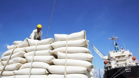 Gạo Việt xuất khẩu giá cao nhất thế giới, doanh nghiệp có lãi đậm?