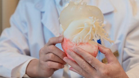 Ca thay van động mạch chủ qua da đầu tiên tại Việt Nam ứng dụng công nghệ in 3D cá thể hóa