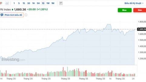 Cổ phiếu xanh sàn, VN-Index tăng 20 điểm