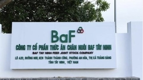 BAF Việt Nam: Liên tiếp thâu tóm 7 DN chăn nuôi trong hơn 1 tháng