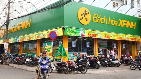 Bách Hoá Xanh dự lãi hơn 600 tỷ năm nay, muốn xoá lỗ luỹ kế để lên sàn