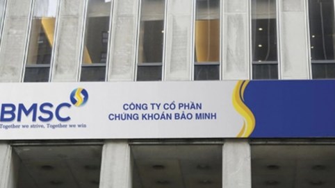 Chứng khoán Bảo Minh (UPCoM: BMS) thoái sạch vốn khỏi Bidiphar, biến động nhân sự và chiến lược nợ vay hé lộ kế hoạch tái cơ cấu