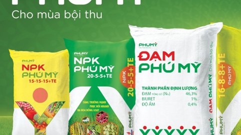 Ra mắt tên và bộ nhận diện thương hiệu mới PHUMY: Bước chuyển mình mạnh mẽ của PVFCCo