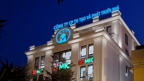 'Ém' thông tin, công ty con của HANDICO bị xử phạt