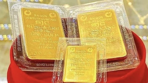 Giá vàng miếng lập kỷ lục mới, hơn 156 triệu đồng/lượng