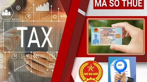 Hướng dẫn đăng ký mã số thuế cá nhân, người phụ thuộc khi thay đổi nơi làm việc