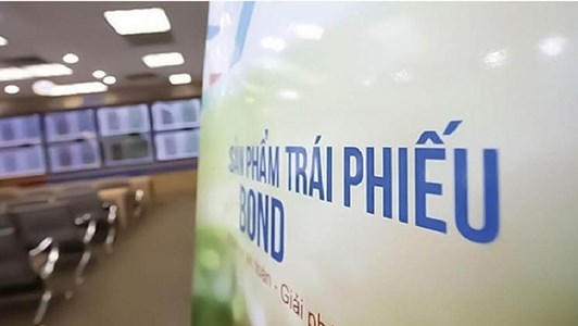 Fuji Nutri Food chậm thanh toán trái phiếu rồi mới khắc phục, vốn chủ sở hữu co xuống 607 tỷ đồng, lỗ hơn 12,6 tỷ sau nửa đầu 2025