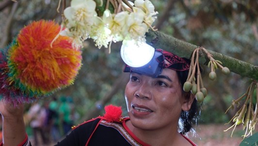 Phú Mỹ đồng hành Lễ hội sầu riêng Đắk Lắk 2026: Khởi đầu từ hoạt động thụ phấn hoa