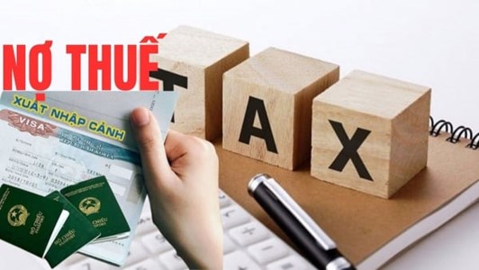 Trung tâm phát triển và Khai thác hạ tầng nợ thuế hơn 219 tỷ đồng