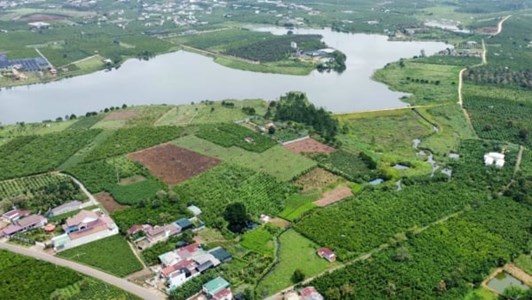 Lâm Đồng thu hồi hơn 25.000 m2 đất của Công ty Hùng Hậu