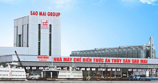Sao Mai báo lãi teo tóp, tiền mặt “bốc hơi” một nửa